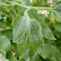 159901_20171215135203_02.JPG