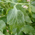 159901_20171215135203_03.JPG