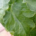 159901_20171215135205_01.JPG