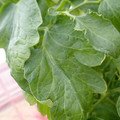 159901_20171215135206_03.JPG