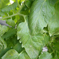 159901_20171215135212_02.JPG