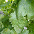 159901_20171215135212_03.JPG
