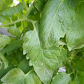 159901_20171215135213_01.JPG