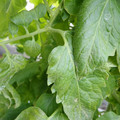 159901_20171215135214_01.JPG