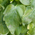 159901_20171215135216_05.JPG