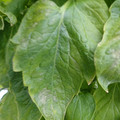 159901_20171215135217_02.JPG