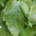 159901_20171215135217_05.JPG