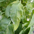 159901_20171215135222_02.JPG