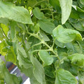 159901_20171215135302_01.JPG