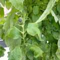 159901_20171215135303_04.JPG