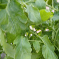 159901_20171215135306_04.JPG