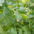 159901_20171215135306_05.JPG