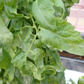 159901_20171215135317_02.JPG