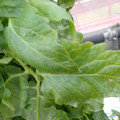 159901_20171215135319_02.JPG
