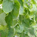159901_20171215135356_02.JPG