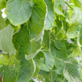 159901_20171215135356_05.JPG