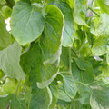 159901_20171215135357_01.JPG