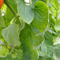 159901_20171215135358_01.JPG