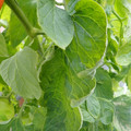 159901_20171215135358_02.JPG