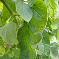 159901_20171215135358_03.JPG