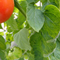 159901_20171215135359_01.JPG
