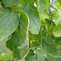 159901_20171215135401_01.JPG