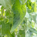 159901_20171215135406_01.JPG
