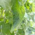 159901_20171215135406_02.JPG