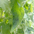 159901_20171215135406_03.JPG
