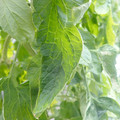 159901_20171215135406_04.JPG
