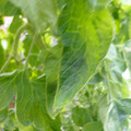 159901_20171215135407_01.JPG