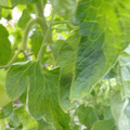 159901_20171215135407_02.JPG