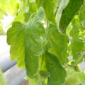 159901_20171215135412_01.JPG
