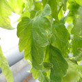 159901_20171215135412_02.JPG