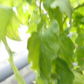 159901_20171215135412_03.JPG