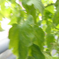 159901_20171215135413_01.JPG