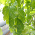 159901_20171215135414_04.JPG
