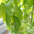 159901_20171215135415_04.JPG