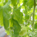 159901_20171215135415_05.JPG