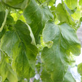 159901_20171215135440_04.JPG
