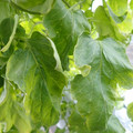 159901_20171215135441_01.JPG