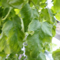 159901_20171215135444_03.JPG