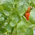 159901_20171215135447_03.JPG