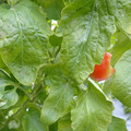 159901_20171215135450_01.JPG