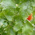 159901_20171215135450_03.JPG