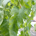 159901_20171215135455_02.JPG