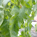 159901_20171215135455_03.JPG