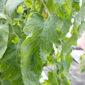 159901_20171215135455_04.JPG
