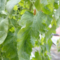 159901_20171215135456_01.JPG
