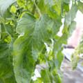159901_20171215135456_03.JPG